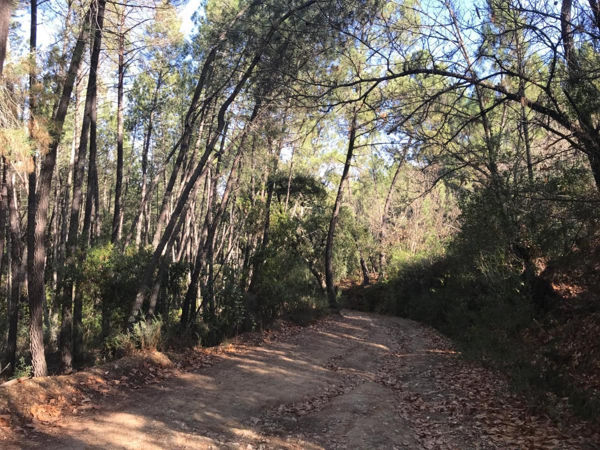 La Apanaora Villa Galaroza Luaran gambar